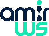 logo amir ws creation site web algerie web agency